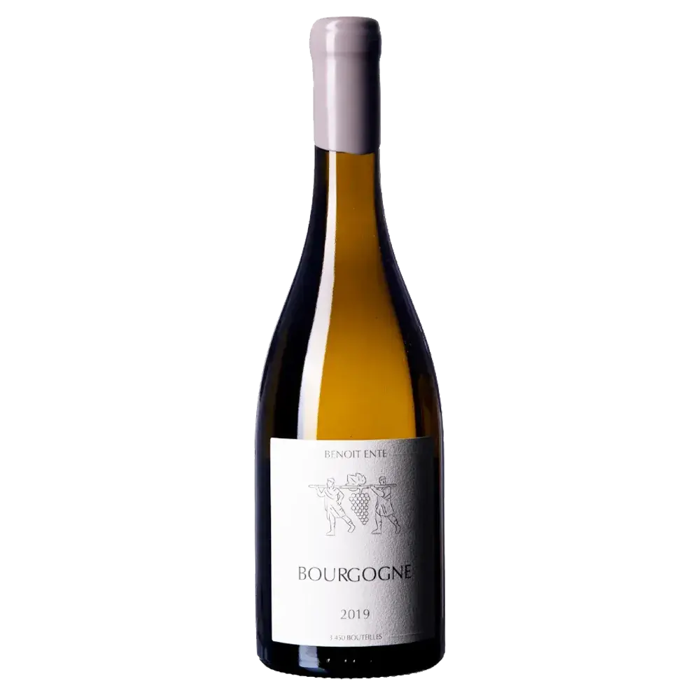 Benoit Ente Bourgogne 2019 750ml DELICATE Wines SG