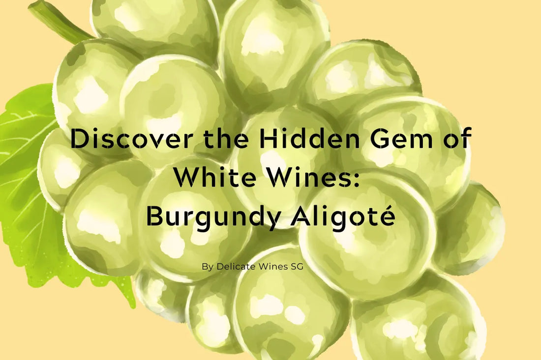 Chardonay Alternative - Burgundy White Aligote