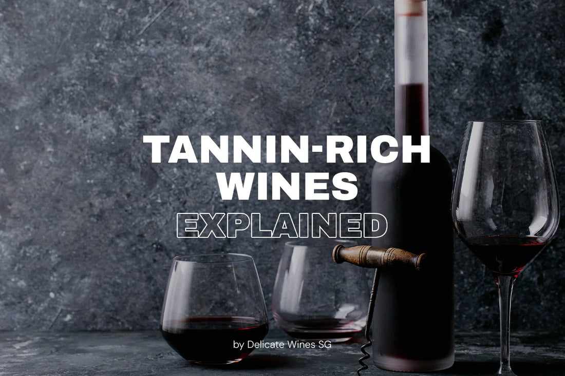 Tannin-Rich Wines Explained: How to Identify and Enjoy Bold Reds