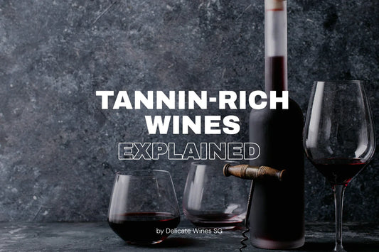 Tannin-Rich Wines Explained: How to Identify and Enjoy Bold Reds