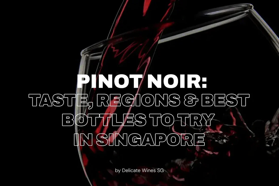 Pinot Noir: Taste, Regions & Best Bottles to Try in Singapore